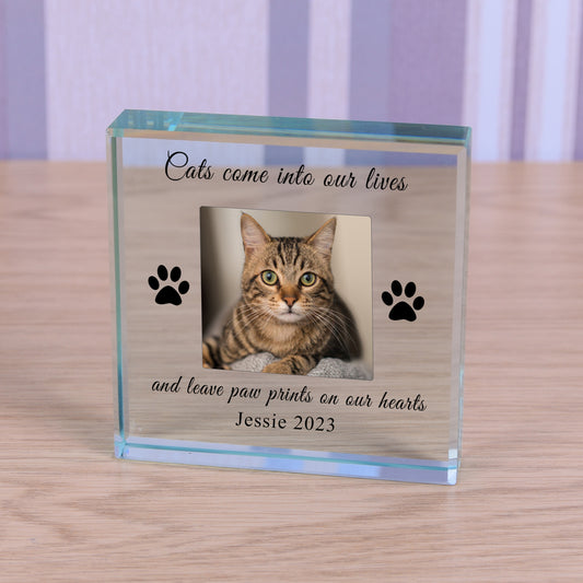 Cat - In Memory Glass Token