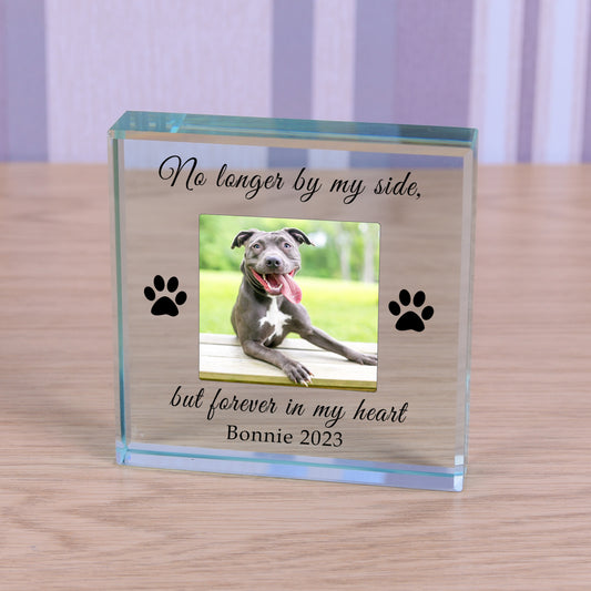 Forever in my Heart Pet Memory Glass Token