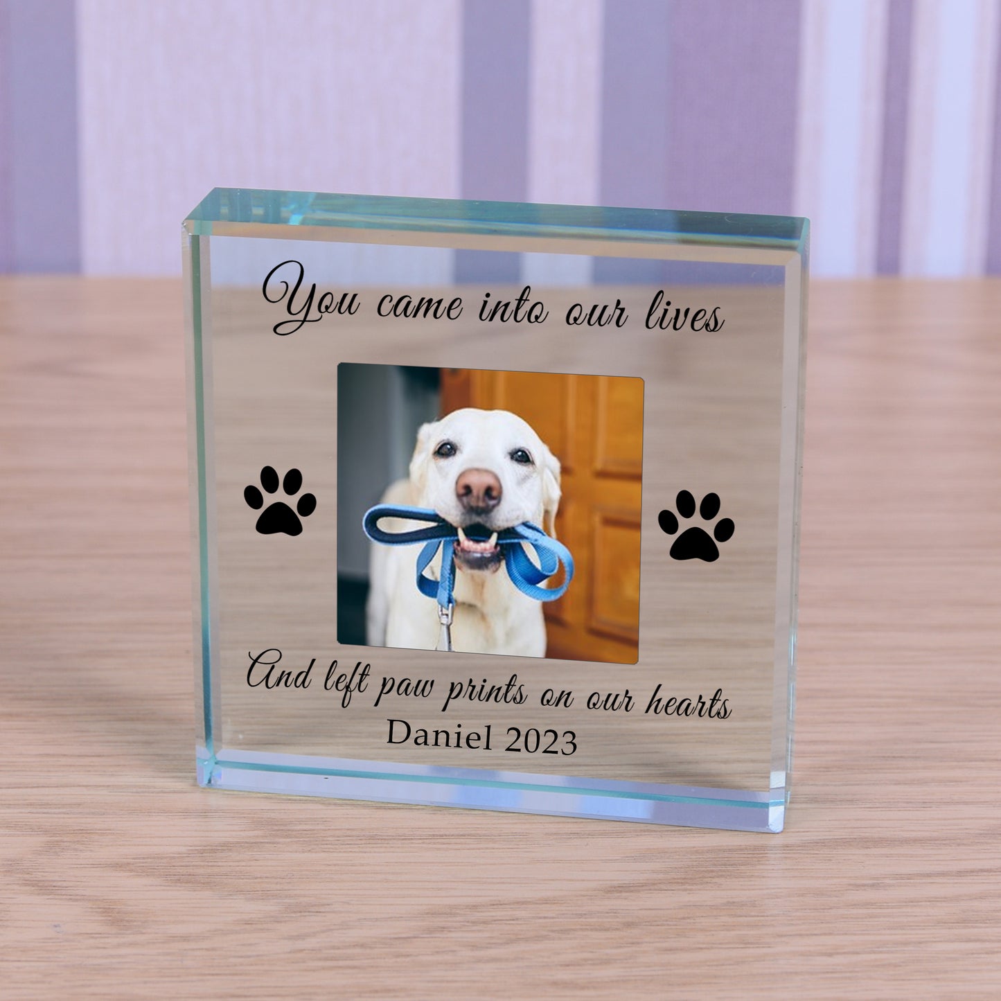 Paw Prints Pet Memory Glass Token