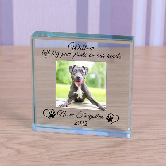 Never Forgotten Pet Memory Glass Token