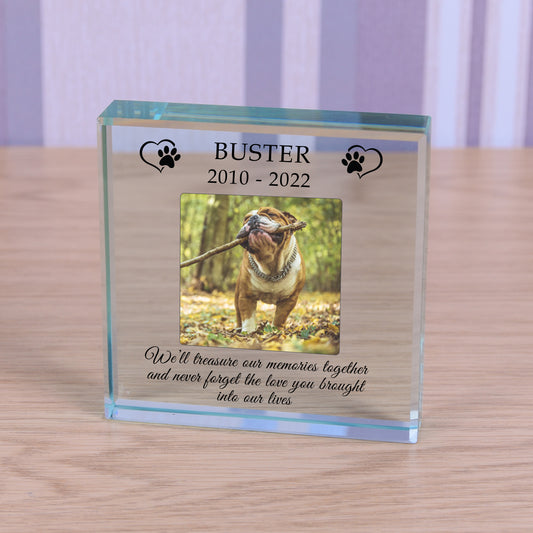 Pet Memories Glass Token