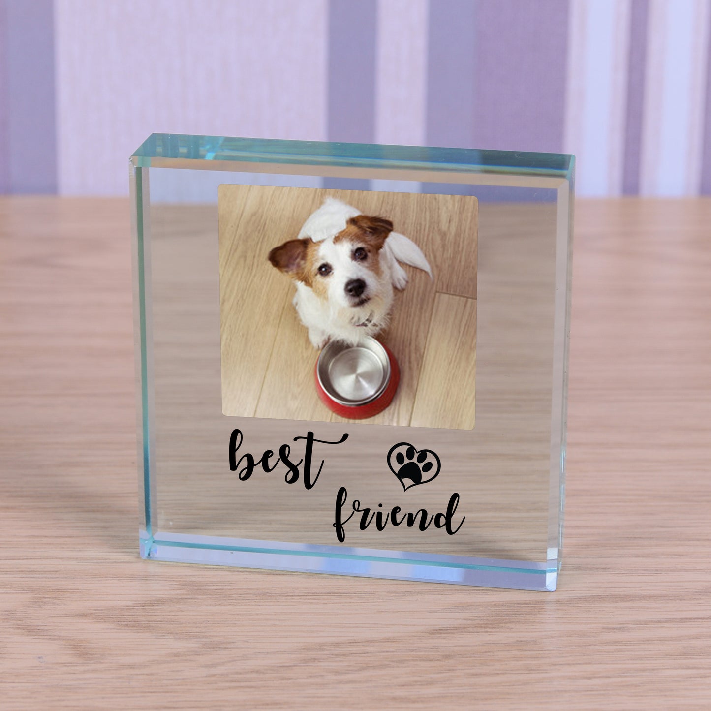 Best Friend Pet Glass Token